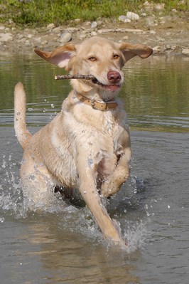 $image.Gallery.title: Sindy 