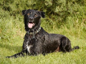 $image.Gallery.title: Franjo