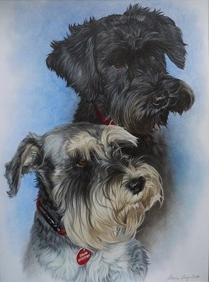 Hunde: Hundeportrait: Bella & Sheila