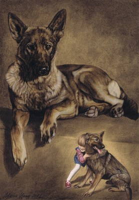 Hunde: Hundeportrait: Grauer Sch&auml;ferhund