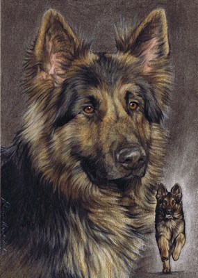 Hunde: Hundeportrait: Sch&auml;ferhund Rico