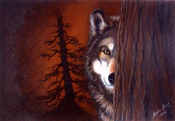 Hunde: Tierportrait: Wolf