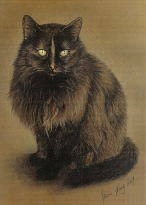 Katzen: Katzenportrait : Cleo