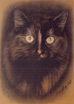 Katzen: Katzenportrait : Cleo-Kopfportrait