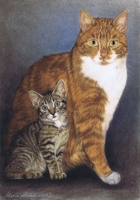 Katzen: Katzenportrait: Kr&uuml;mel und Tiger