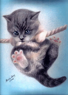 Katzen: Katzenportrait : Kitte Kitty