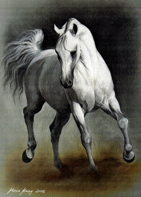 Pferde: Pferdeportrait : Andalusier