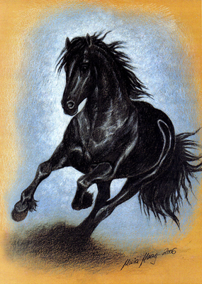 Pferde: Pferdeportrait : Friese