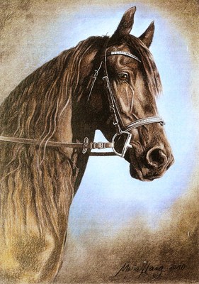 Pferde: Pferdeportrait: Friesenstute