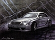 $page.level.title: Mercedes Coupe